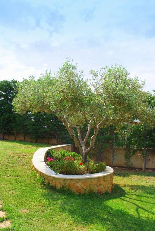 Sofia Luxury Maisonettes Nikiti  Dış mekan fotoğraf